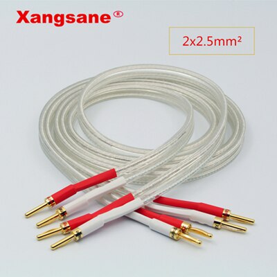 Xangsane SP-8525 OCC Silber-überzogene Hifi Lautsprecher Kabel Hohe Leistung Lautsprecher Verstärker Klang Anschluss linie: 2x2.5mm / 4 mt
