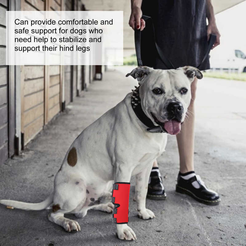 Dog Physiological Pants Dog Kneepads Elastic Injury Wound Leg Support Protector Recovery Pet Knee Joint Wrap Menstruation