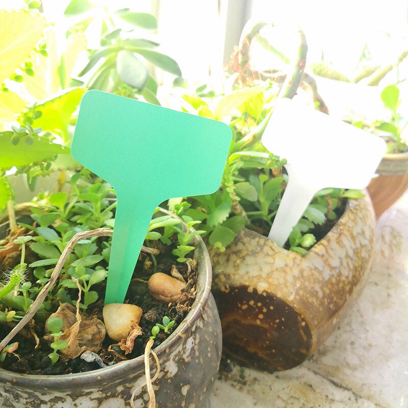 10*6 cm haveplanteetiketter klassificering sorteringsmærke billet plast skriveplade bordstik i kort hvidgrøn