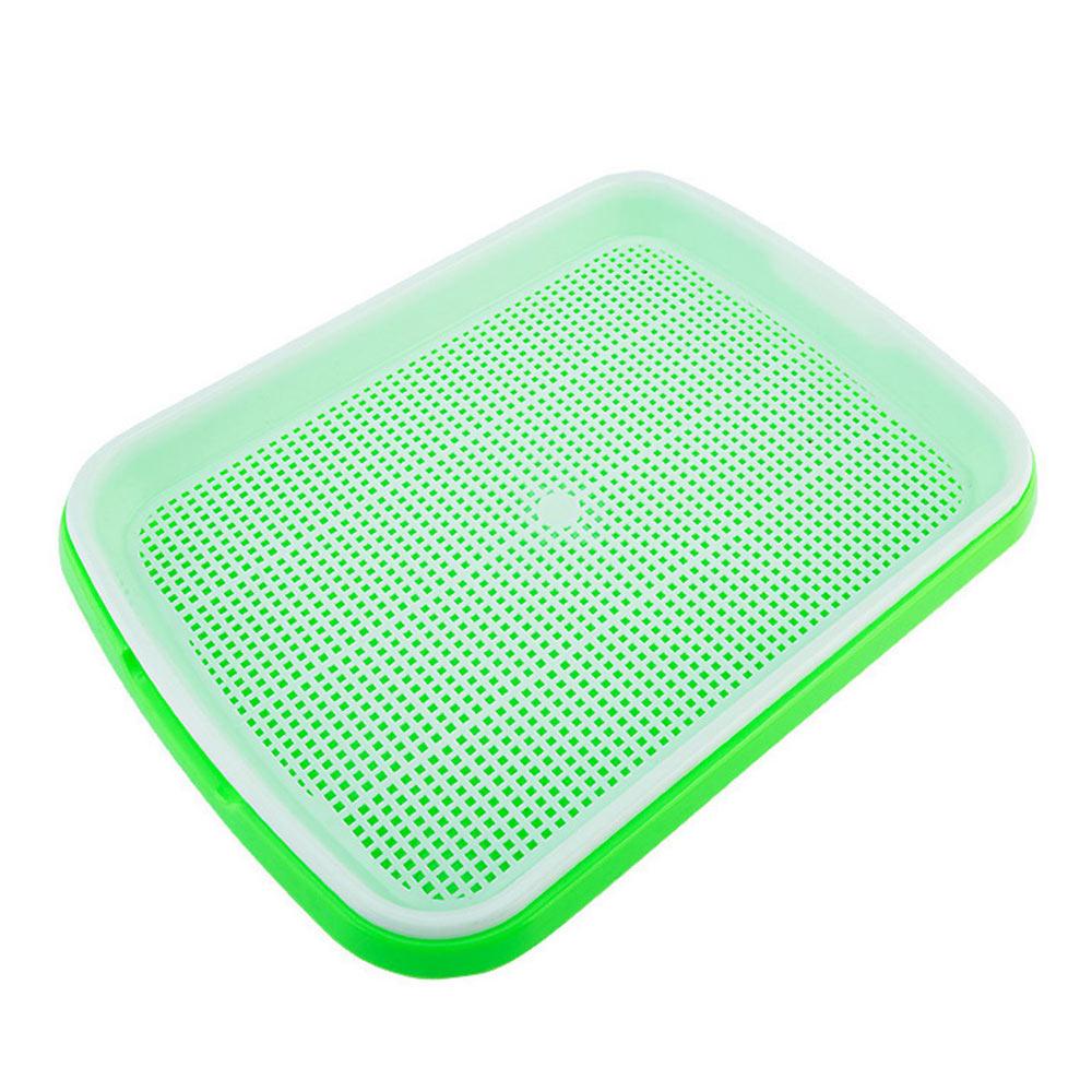 Sprout Grower Planting Containers Multifunction Seed Sprouter Tray Sprouters Grower Food Grade PP Plant Germination Trays: Green