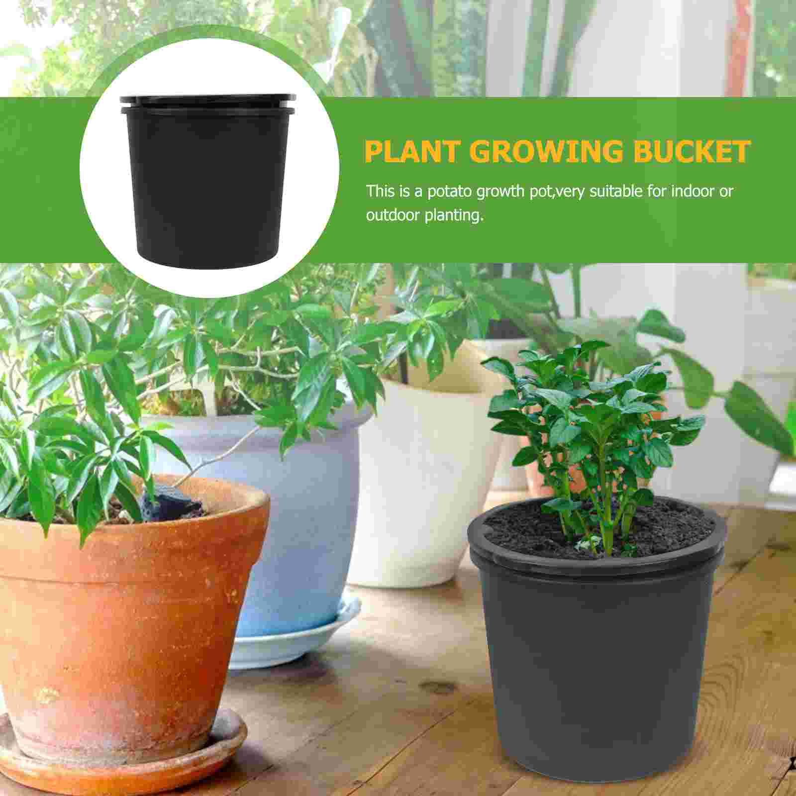 Practical Potato Planting Box Peanut Planting Buck... Grandado