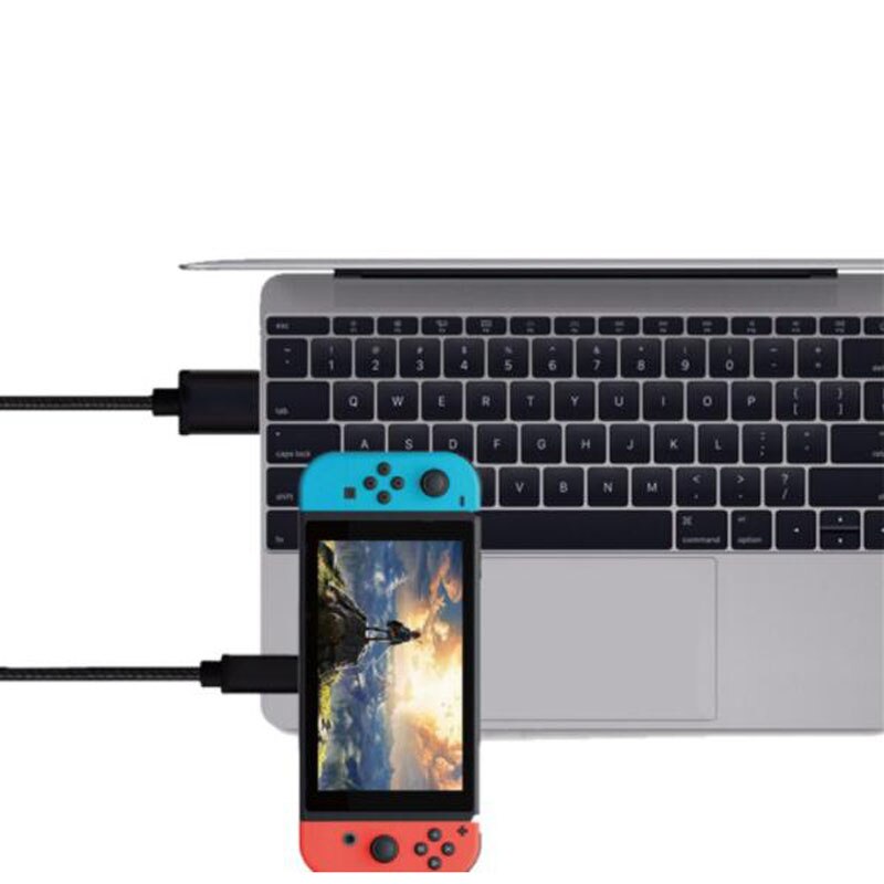 Cable cargador USB de 1M Cable de datos para Nintendo interruptor de Switch NS consola de juegos Lite tipo C Cable USB de carga rápida