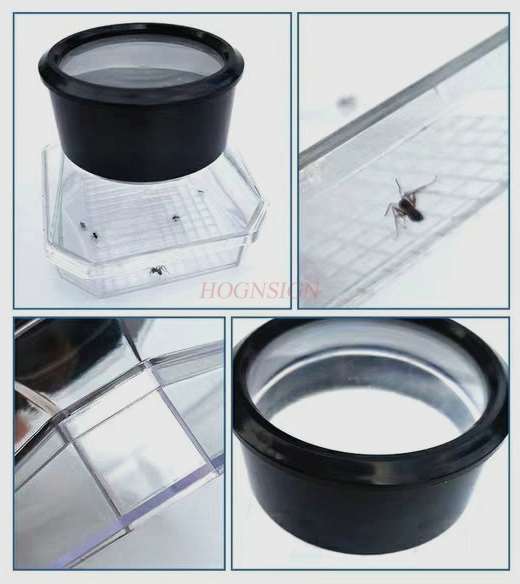 insect observation cover Insect observation box Biology teaching instrument Insect box Black cover with magnifying glass