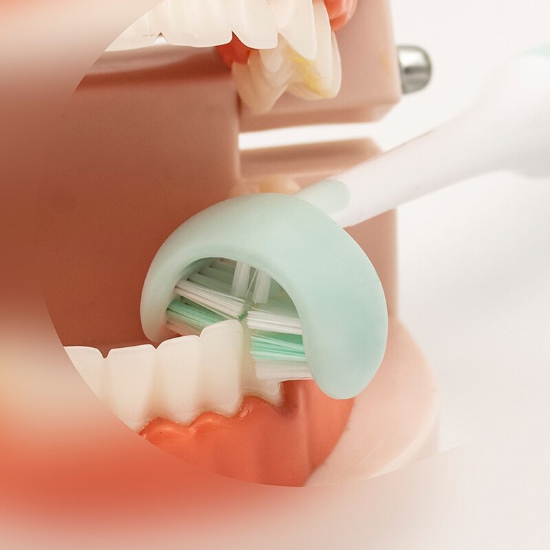 3 Sided Brush Oral Care Safety Teeth Brush Oral Health Cleaner Dental Clean Toothbrush