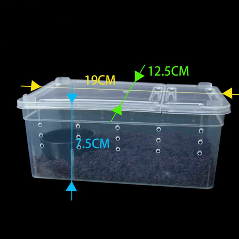 Transparent Plastic Box Insect Reptile Transport Breeding Live Food Feeding Boxes Insect Supplies
