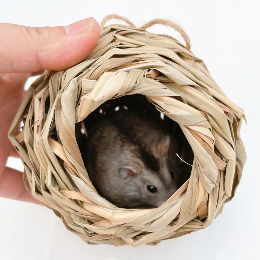 Veilig Hamster Hut Ademend Tanden Slijpen Molaire Speelgoed Klein Dier Gras Cave Bed