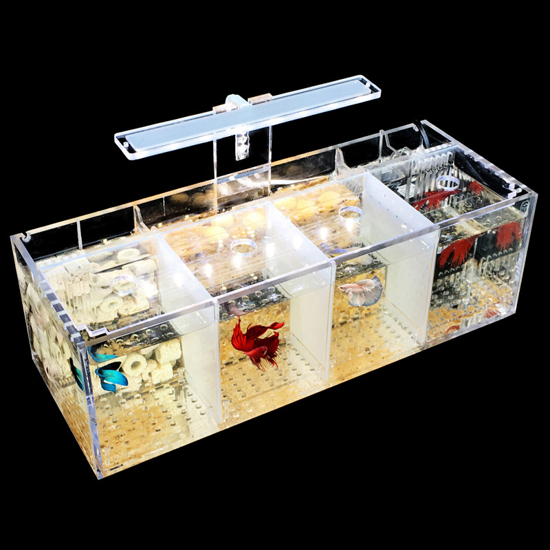 Acryl Isolatie Aquarium Met Meerdere Compartimenten Gestapeld En Transparante Kweekdoos Goudvissen Vechten Viskijktank