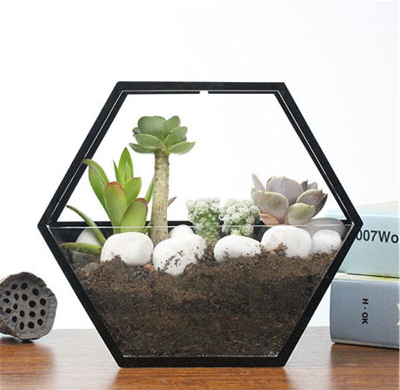 Sekskant vegghengende akrylvase, akrylvegg akvarium, veggdekor, boliginnredning / huspynt / grønt til henne: Svart / 28 x 24cm