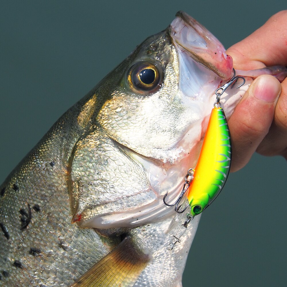 Banshee 65mm 9.3g GO-CM003 Trout Perch Fishing Lure Floating Wobbler Artificial Bait Shallow Diving Crank Minnow Crankbaits sea