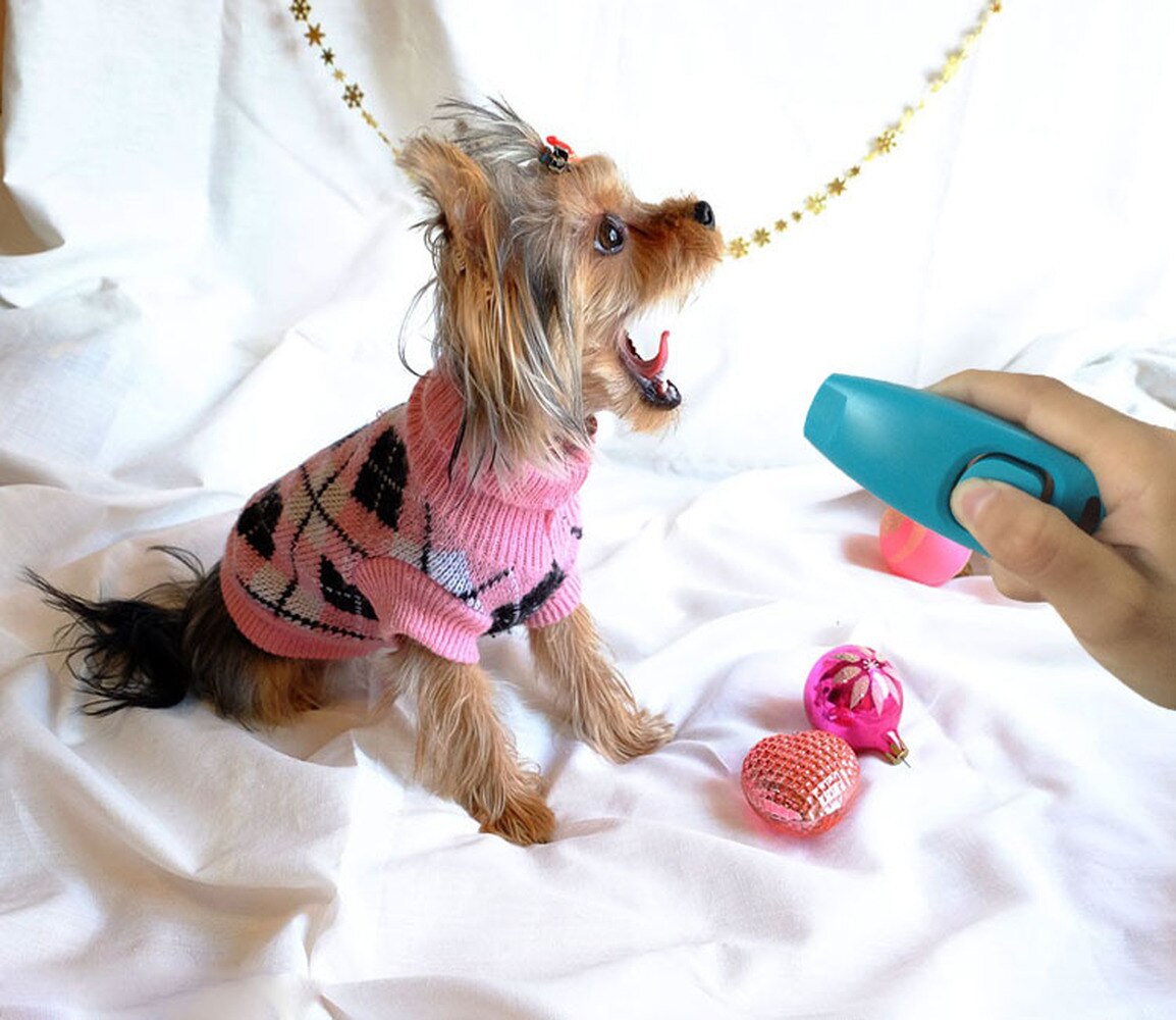 Silbato portátil de forma bonita para perros, guía de ayuda de entrenamiento con llavero, silbato de entrenamiento, productos suministros para mascotas