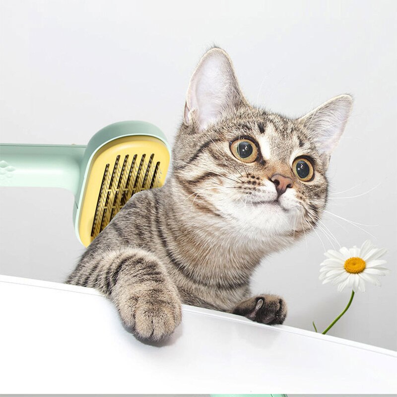 Kat Borstel Hond Kam Haar Kam Voor Katten Accessoires Huisdier Producten Grooming Kammen Schone Borstel Voor Verlies Verwijdert Haren Kat en Hond