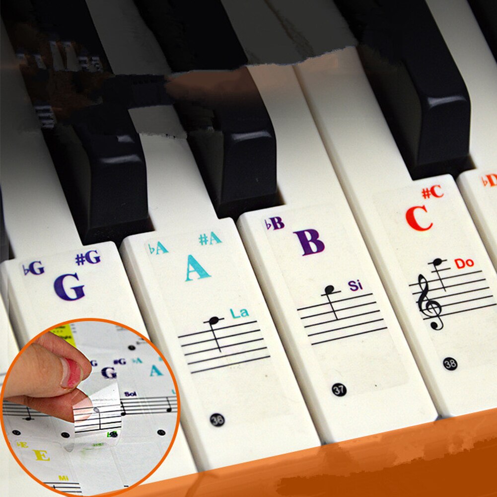 Transparent Piano Keyboard Stickers for 37/49/61/88 Keys Electronic Keyboard Removable Learning Notes Labels for Beginners