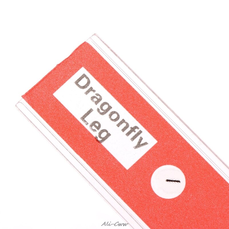 48Pcs/Set Prepared Microscope Slides Specimen Animals Insects Plants Flowers Sample