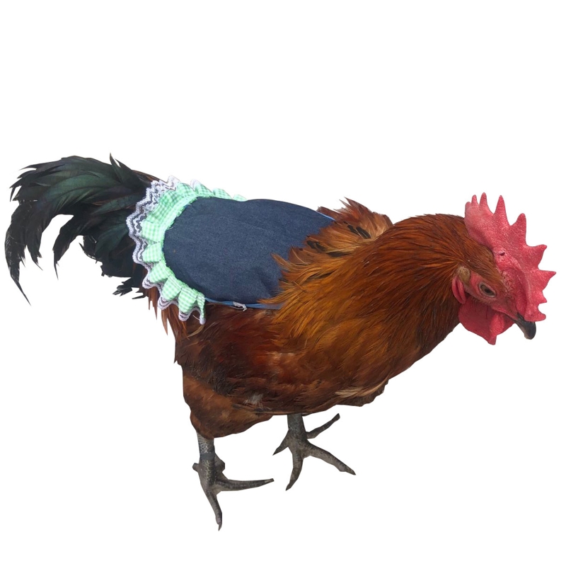 Huhn Sattel Feder Fixer FlüGel Zurück Schutz Henne Schürze für GeflüGel Schützen Zurück und FlüGel Einfach zu Tragen 5 aufbringen