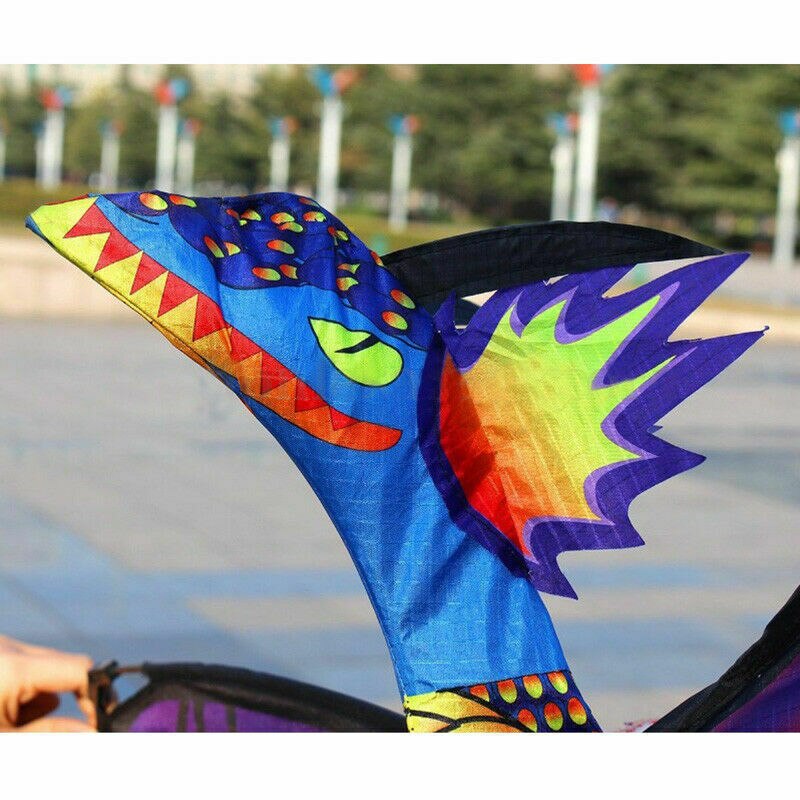 Kinderen buiten enorm grappig 3d draken vlieger vliegen lange staart luchtlijn touw