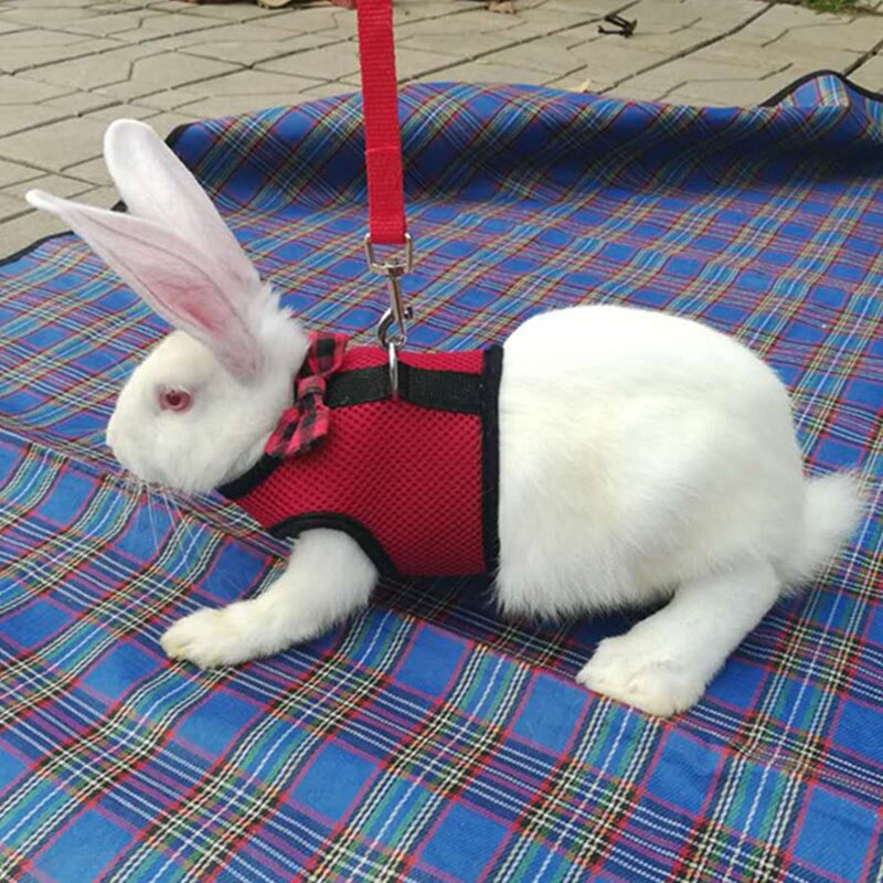 Arnés para chaleco de conejo para hámster, correa para el pecho, correa para Hurón, conejillo de indias, accesorios para animales pequeños