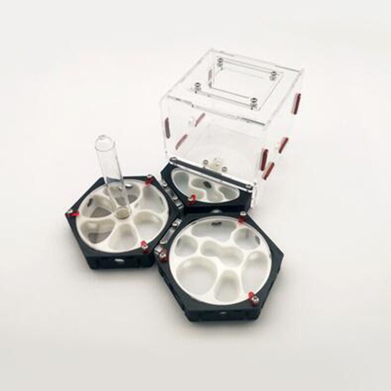 Ant Space Station 3D Ant Nest Queen Nest Acrylic Ant Nest Idea Reptile Terrarium Ants Farm House: Style-K