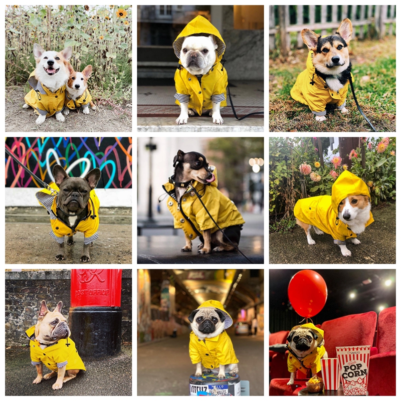 Hunde-Regenmantel, wasserdichte Jacke für Haustiere, Bulldogge, Windjacke, Pudel, Mops, Bichon, Welpenmantel, Regenbekleidung, PU, S-5XL, hochwertiger Hunderegenmantel