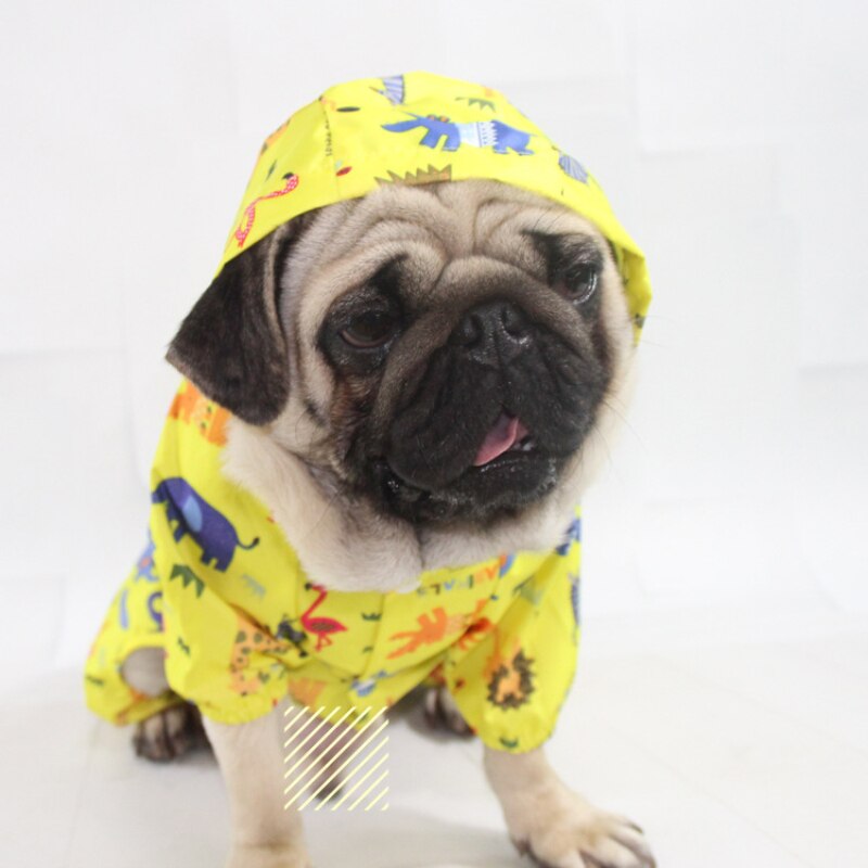 Hund regnjacka jumpsuit vattentäta kläder för hund regnjacka schnauzer mops fransk bulldog welsh corgi kläder husdjur outfit