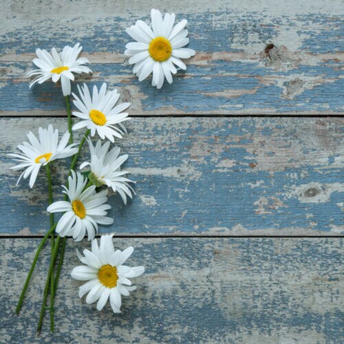 Retro Wood Plank Board Photo Backdrop Photography Studio Background Cloth Screen: 9