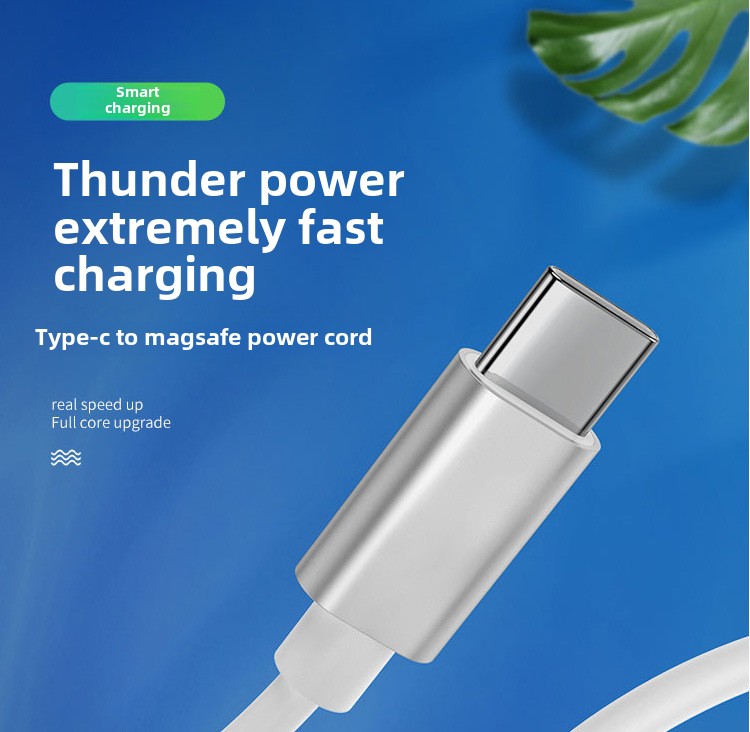 Type-C naar Magsafe2 snellaadkabel macbook magnetische T-kop voor MacBook Air / Pro 65W 110W