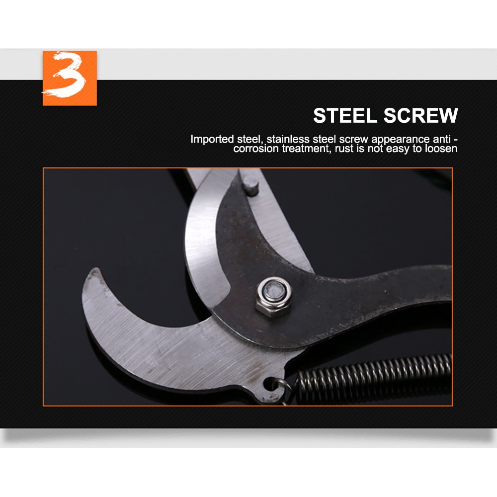 Ciseaux extensibles pour branches d'extension à haute Altitude, scie à taille d'arbres fruitiers, outil de jardinage avec corde