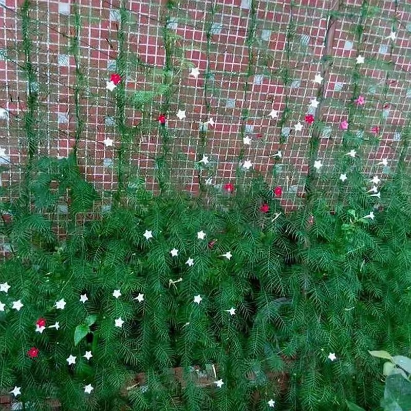 Nylon Garden Netting Plants Support Net Morning Glory for Vegetable Flower Holder Cucumber Trellis 18 Strand Multiple Size