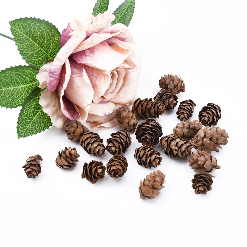 30 peças de cone de pinheiro para decoração de casa, natal, álbum de recortes, flores, plantas artificiais, atacado, caixa de presentes diy, guirlanda