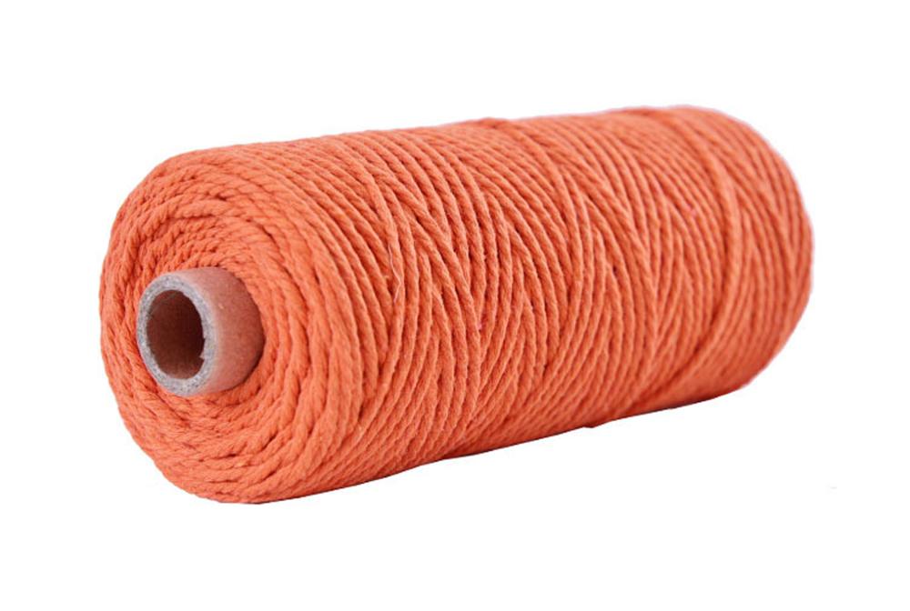 2mm diy knutsel macramé touw touw kleurrijk katoenen gedraaid koord 100 meter: Oranje