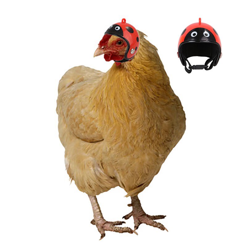Adjustable Poultry Head Protective Duck Safety Small Pet Smash Proof Headgear Helmet Chicken Hat Accessories Cute Hard Shell