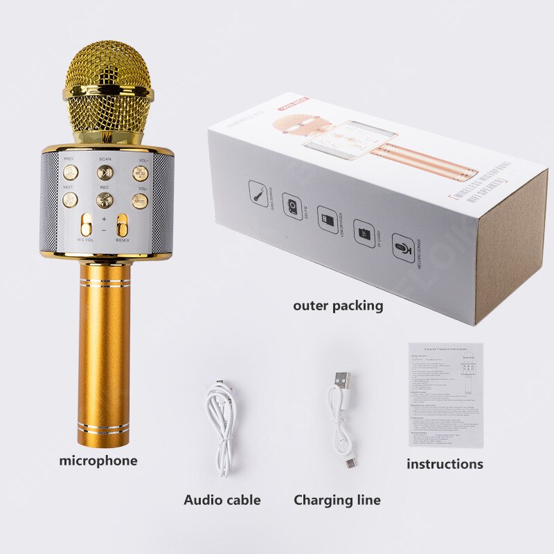 BUFLOIK microfono Wireless Bluetooth professionale microfono Karaoke portatile USB Mini Home KTV per lettore musicale registratore di canto Mic: Model 4