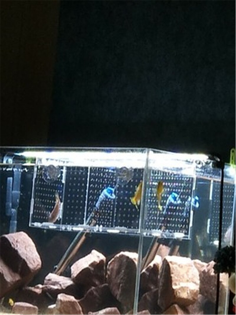 Large size aquarium breeding box acrylic isolation fish hatching single multi-grid boxes aquarium incubator 1pc