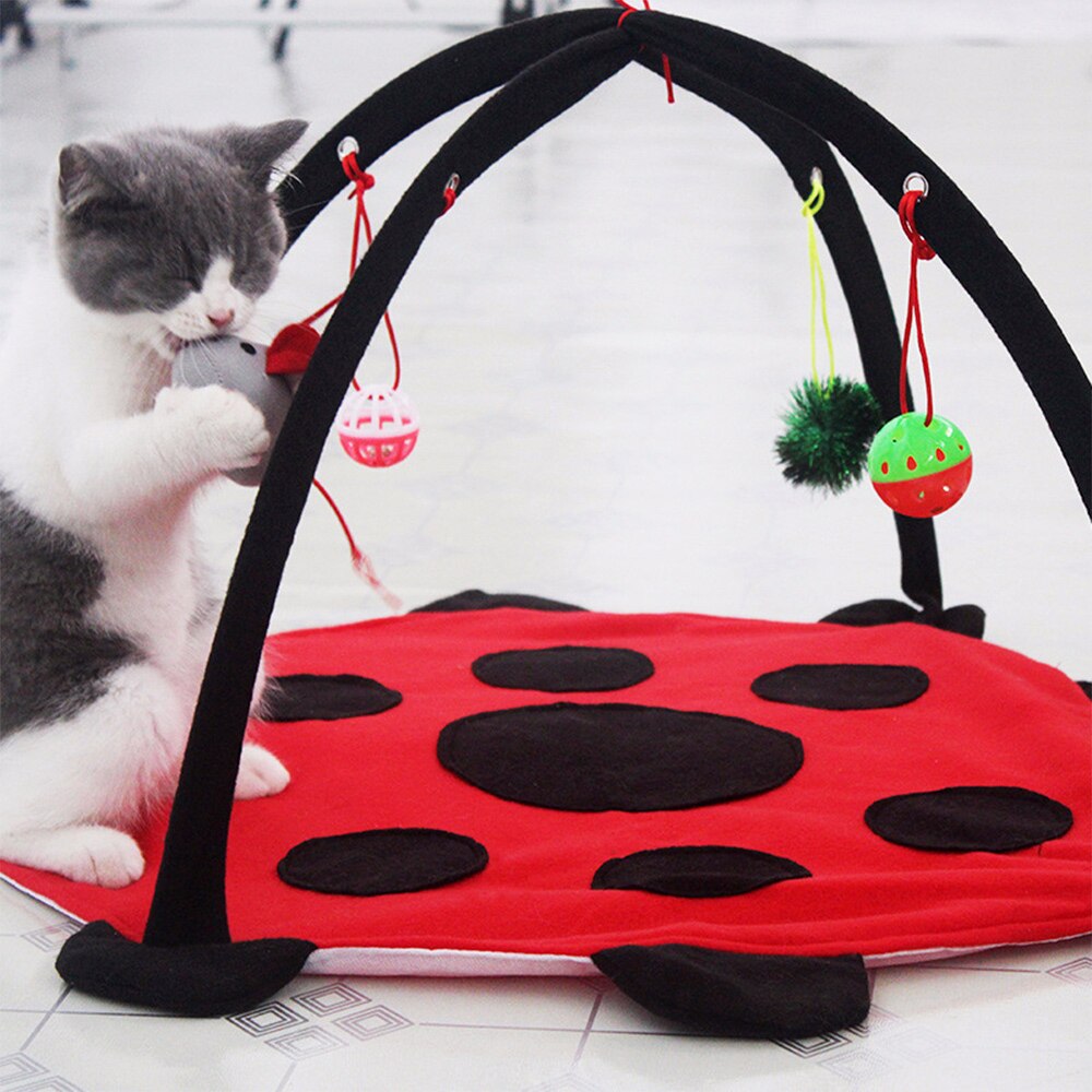 Juego plegable de tiendas de gatitos divertidos y Gato, cama de juegos para mascotas, juego de gatos, manta, Casa con juguete colgante, forma de bonito Escarabajo