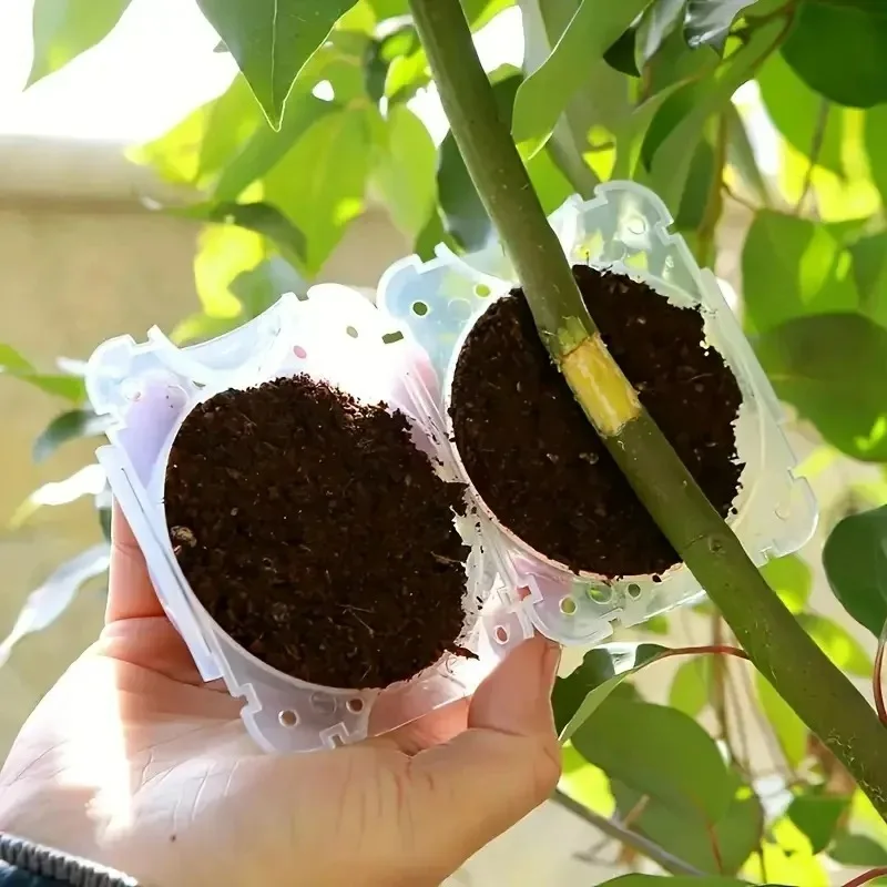 5/20PCS Planten Wroeten Bal Hoge Druk Graft Fokken Case Plastic Kwekerij Doos Voortplanting Plant Wortel Potten tuin Accessoires