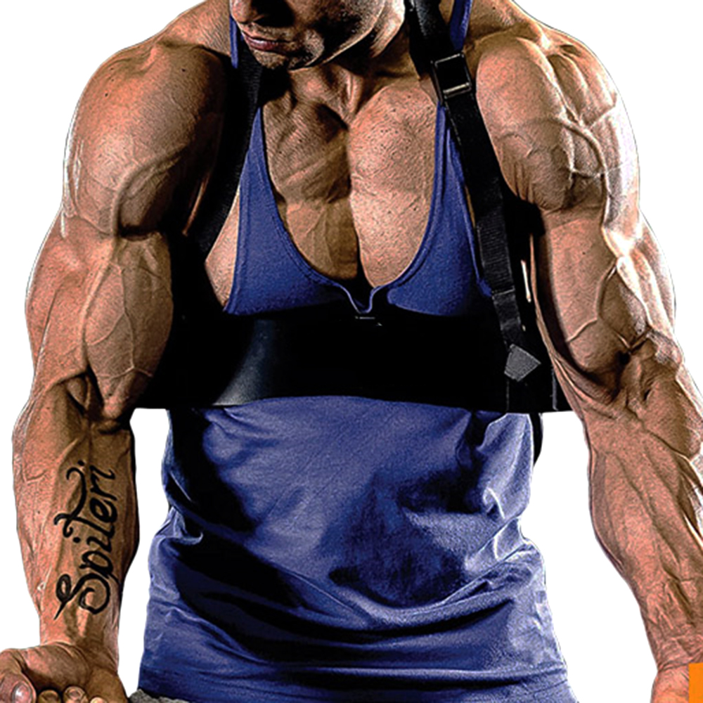 Fitness udstyr bodybuilding biceps træning vægtløftning arm underarm træner arm blaster justerbar gym træningstavle