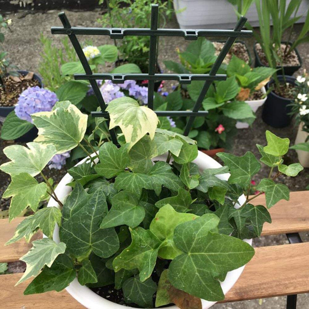 2 stk /6 stk buet diy plast plantestøtteramme pottebrakett hylle klatreblomst fast plante hage vinstokker feste