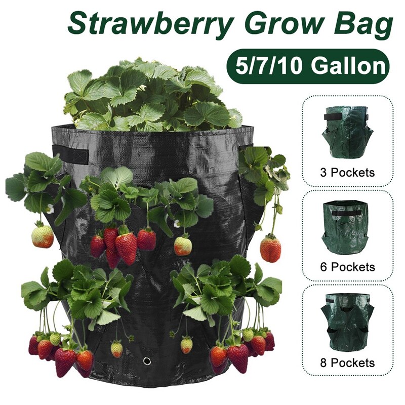 3Pcs Hanging Strawberry Plant Grow Bag 5/7/10 Gallon Garden Flower Vegetable Planting Pots