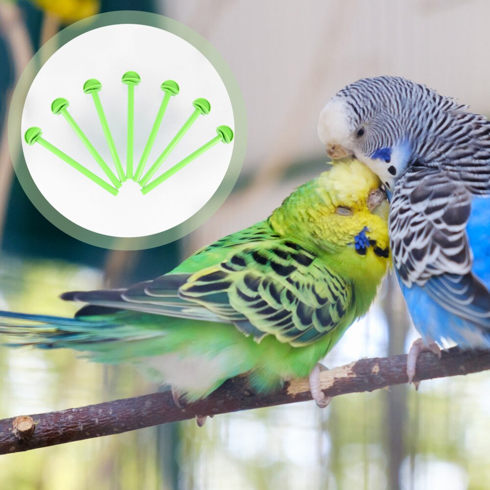 50 Uds Pie de pájaro con soportes para loros perca accesorios para jaulas de pájaros