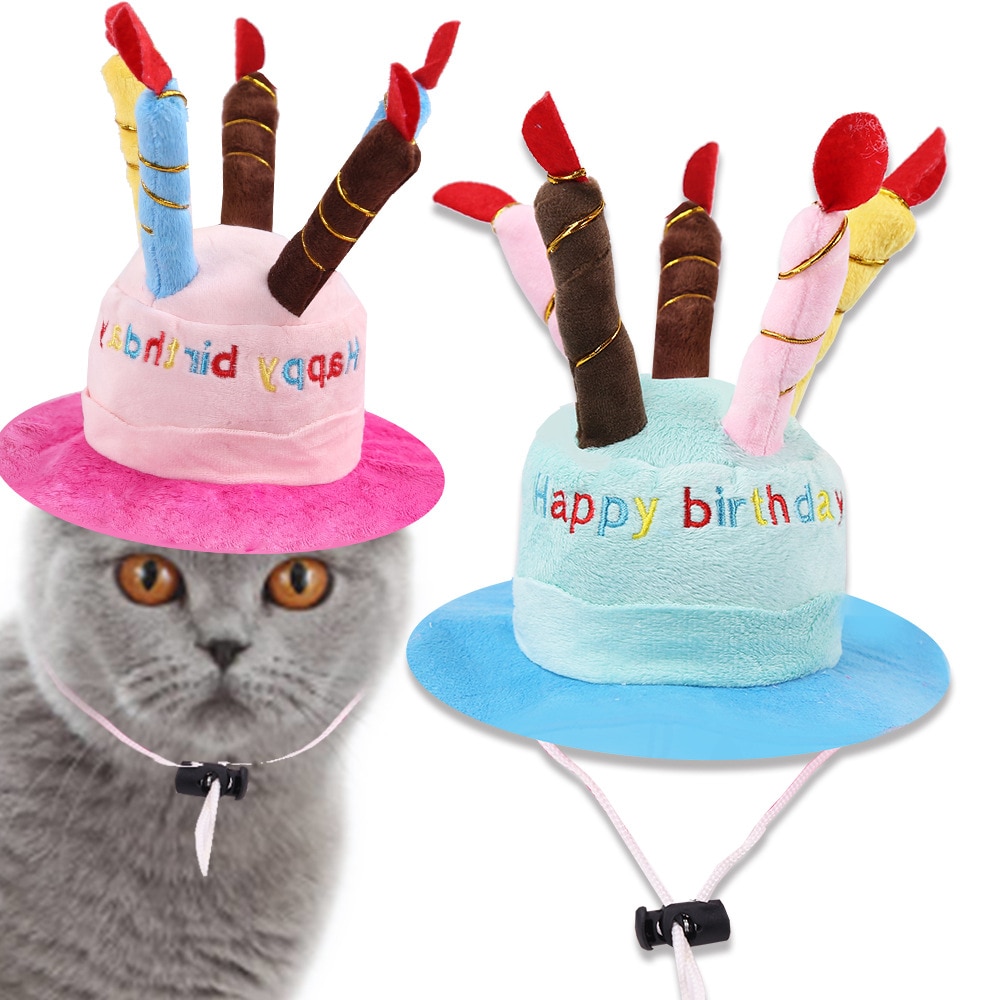 Simpatico cane da compagnia trasforma cappello torta di compleanno cappello cappello da gatto indossando simpatici regali in erba per animali domestici