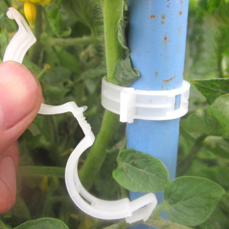 50/100 stk gjenbrukbare plast gjerder espalier porter planter hengende vintreet plante støtte klips hage drivhus hage ornament