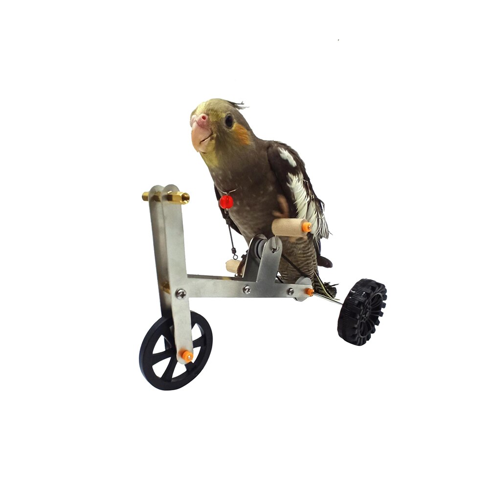Funny Parrot Toy Bike Bird Training Supplies Birds Training Plaything Parrot Training Props Interesting Parrot Toy For Birds