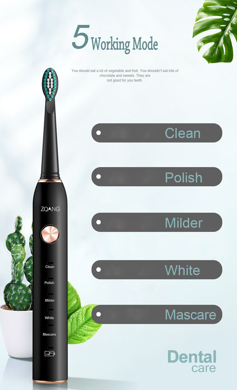 Sonic Electric Toothbrush USB Rechargeable 5 Modes Ultrasonic Automatic Brush Timer Waterproof Dental Brush Teeth Whitening