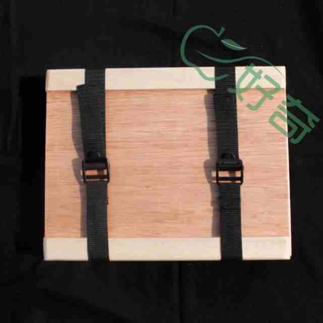 Plant specimen clip with Fasteners Specimen production