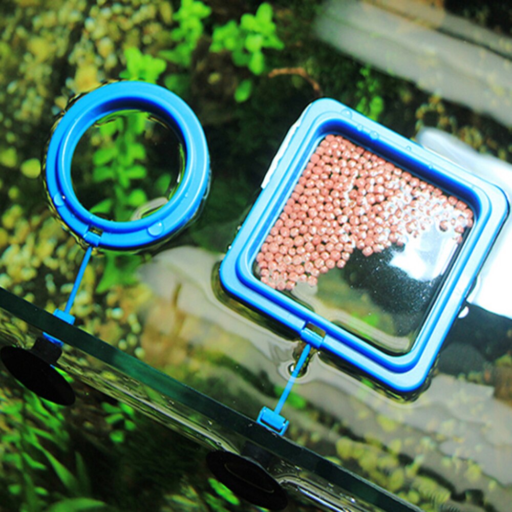 Anneau d'alimentation flottant en plastique pour poissons, équipement d'aquarium, carré ou rond, à forte ventouse, 1 pièce