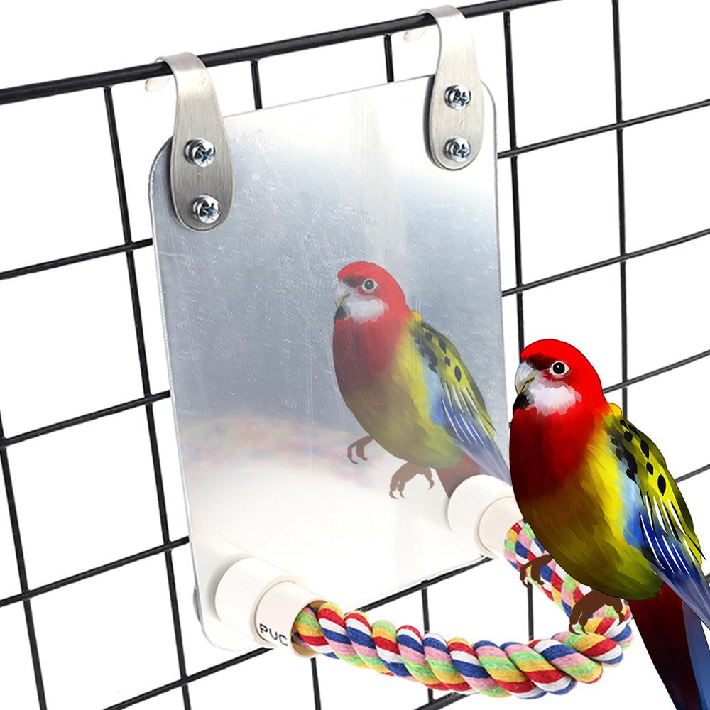 Espejo divertido para mascotas y loros, juguete para cacatúa, pájaros pequeños, soporte de escalada para morder