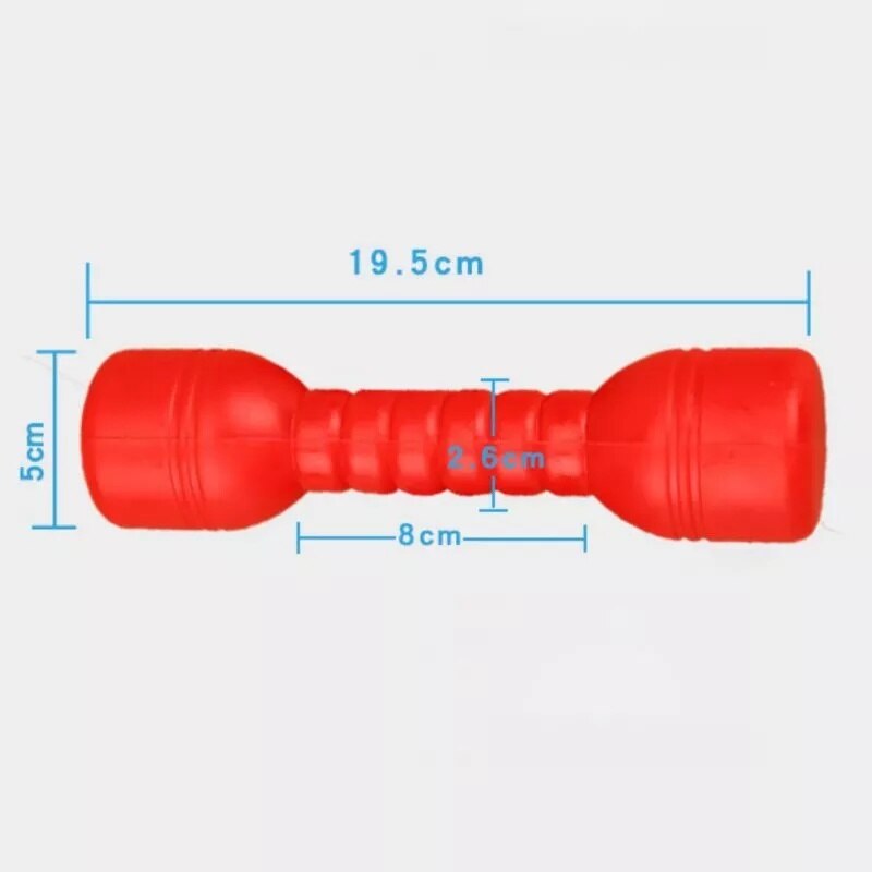 Equipamento de fitness para educação precoce, 2 peças, presente, jardim de infância, exercícios, casa, dança, adereços, crianças, halteres mão, academia