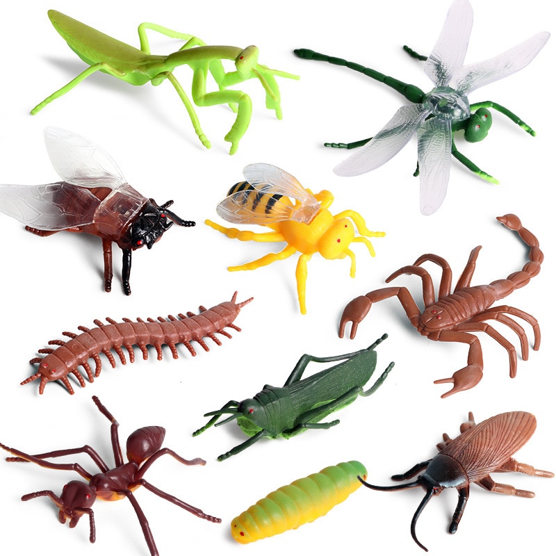 10 stk mini simulation insekter model guldsmede myre bi skorpion tusindben cikade græshoppe uddannelse legetøj børn