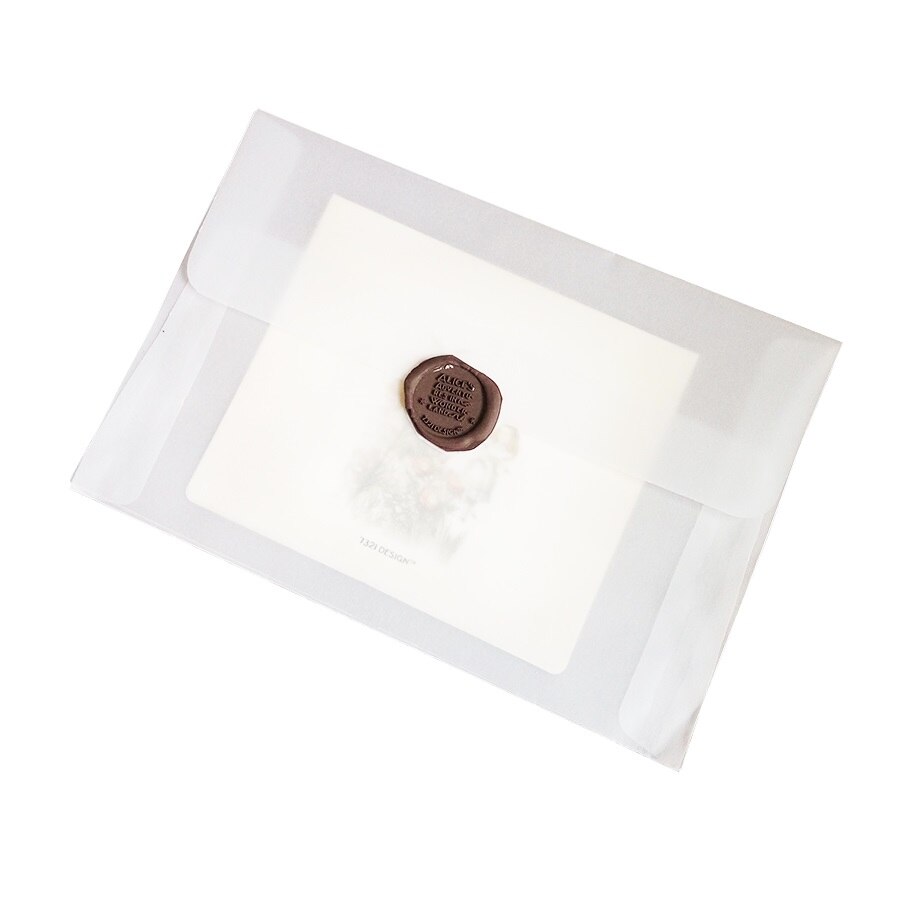 100pcs/lot Lovely Blank Translucent vellum Paper Envelope For Party Wedding Stationery