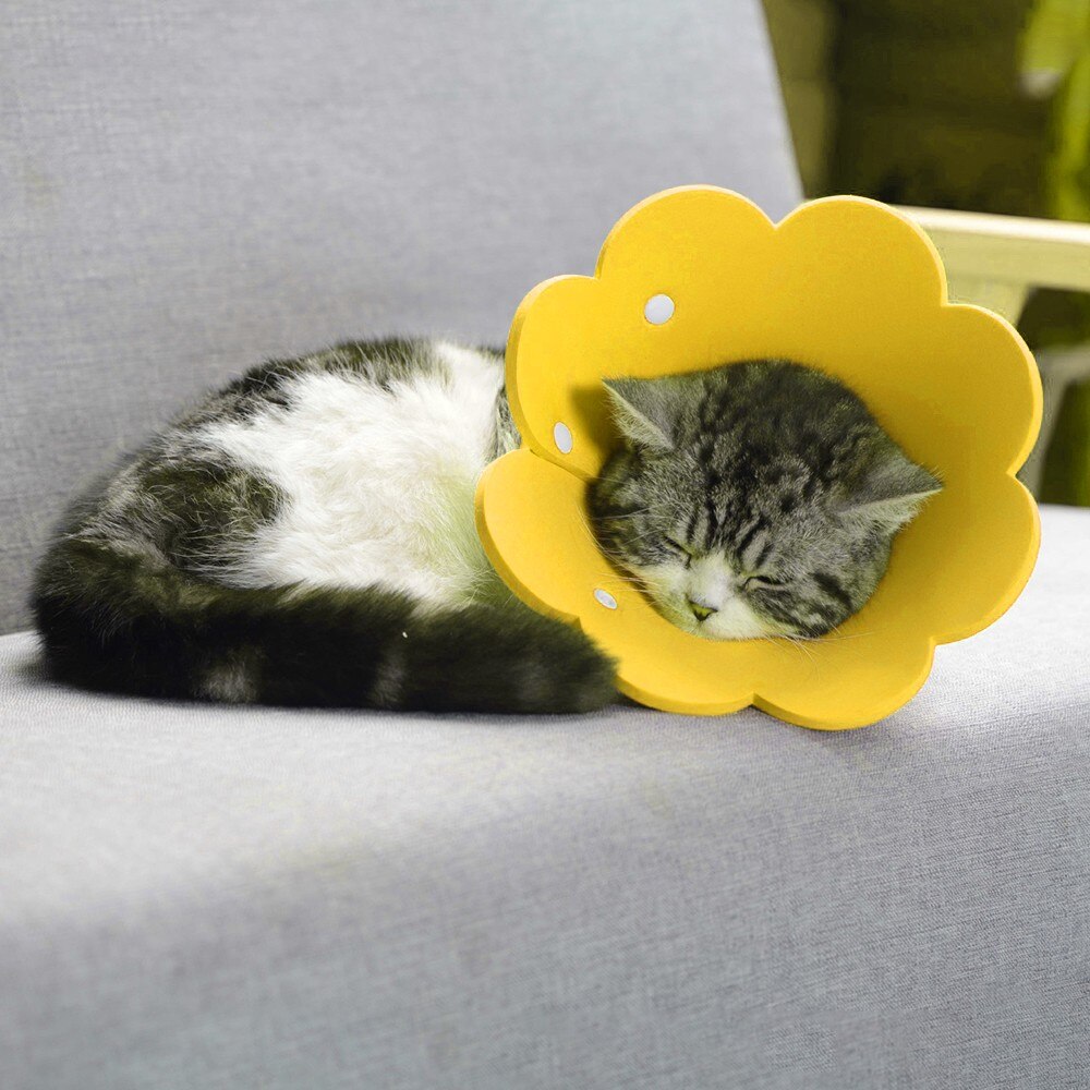 Cute Pet Protective Collars for Dogs Cats Wound Healing Protection Dog Cat Collars Anti-Bite Neck Cone Recovery Circle