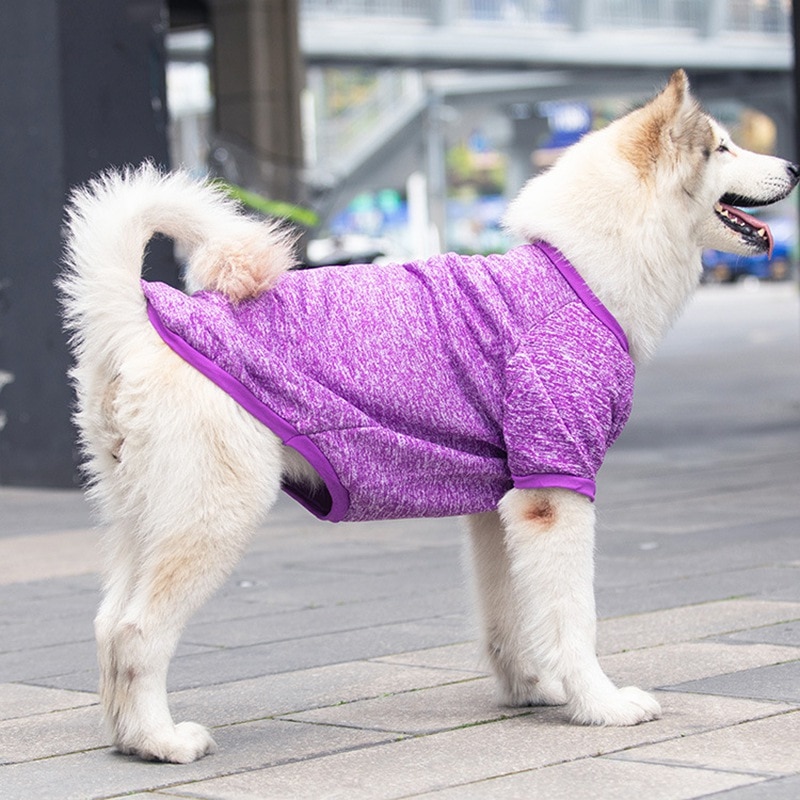 Grote Hond Kleding Trui Kleding Paars Grote-Size Sport Kleding Sweatshirt Voor Honden Huisdieren Kostuum